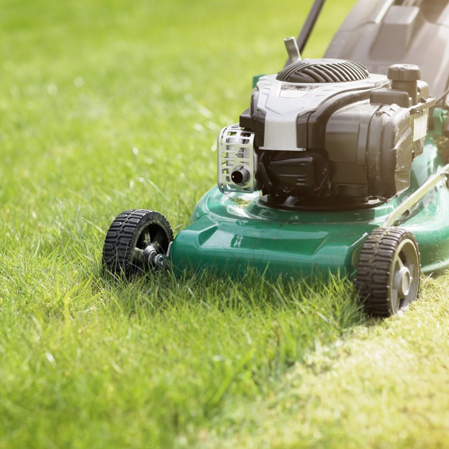 Mowing or cutting the long grass with a green lawn mower in the summer sun